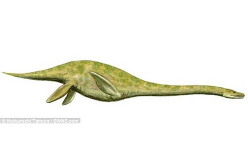 Phát hoảng với quái vật 'xà đầu long' thời tiền sử có cổ dài gần 3 mét