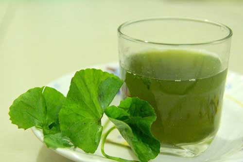 Uống nước rau má theo cách này tốt như 'tiên dược'