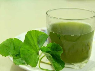 Uống nước rau má theo cách này tốt như 'tiên dược'