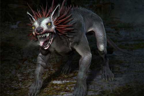 Nghi vấn về sự tồn tại của quái vật hút máu Chupacabra