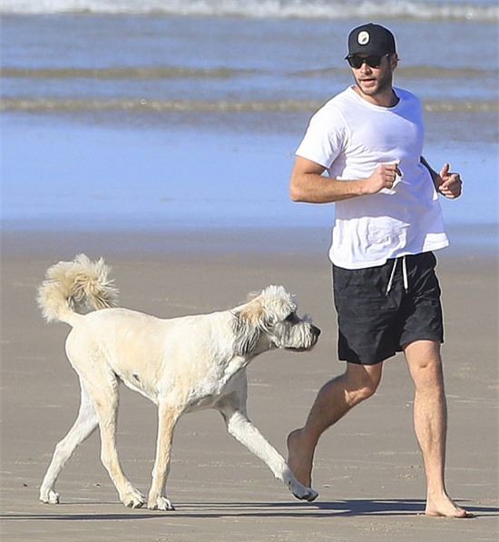 Liam mang theo chú chó anh từng nuôi cùng vợ cũ Miley Cyrus về Australia chăm sóc.