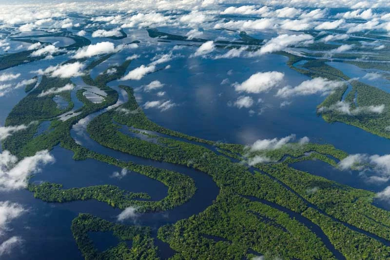 1. Sông Amazon (Nam Mỹ).