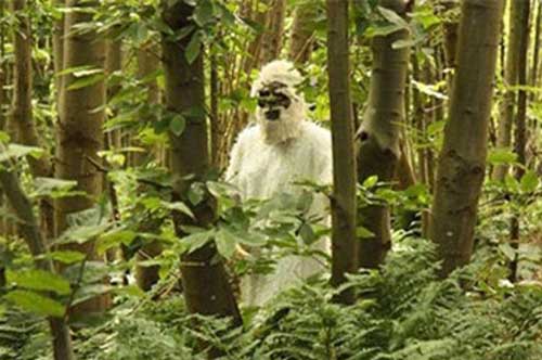 Giải mã bí ẩn quanh những dã nhân khổng lồ