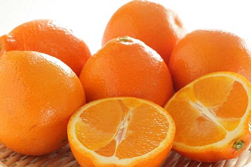 Những loại quả được mệnh danh là “vua” giải độc gan, ăn càng sớm gan càng khỏe