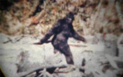 Bí ẩn Người Tuyết Yeti được khoa học giải mã. Ảnh Telegraph Bí ẩn Người Tuyết Yeti được khoa học giải mã. Ảnh Telegraph