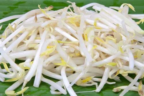 Mua giá đỗ, nếu phát hiện 3 dấu hiệu này thì tuyệt đối không nên ăn