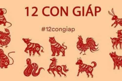 Tử vi ngày 6/10 của 12 con giáp: Tỵ đón tin vui, Thân cần chú ý sức khỏe