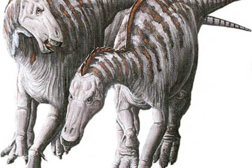 Kỳ lạ hóa thạch khủng long mỏ vịt có khối u trên mặt