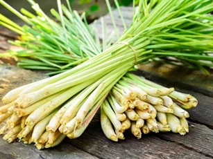 Bí quyết khử mùi cho phòng ngủ đơn giản mà cực hiệu quả