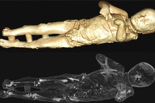 Giải mã bí ẩn bên trong các xác ướp thạch cao Pompeii 2.000 năm tuổi