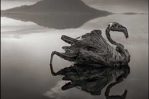 Bí ẩn ‘Hồ tử thần’ nơi tạo ra những xác ướp hoàn hảo