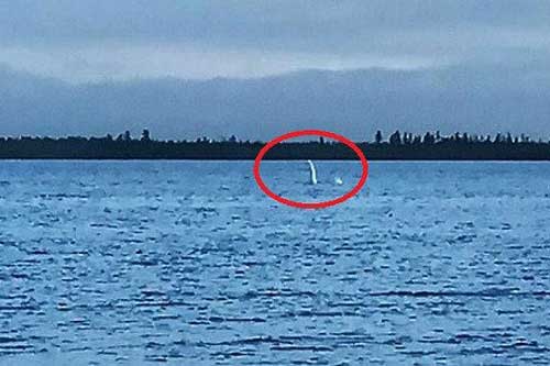 Phát hiện 'bản sao' quái vật hồ Loch Ness tại Nga