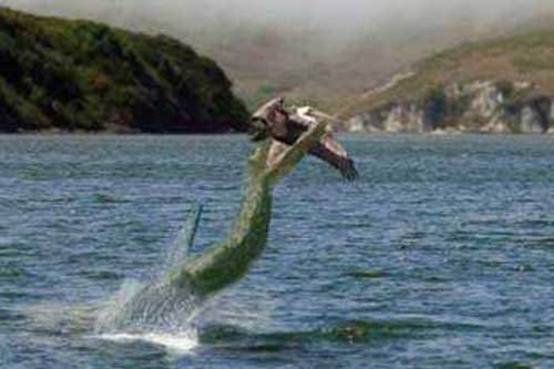 Bí ẩn 'quái vật' hồ Nix ở Anh gây xôn xao dư luận thế giới