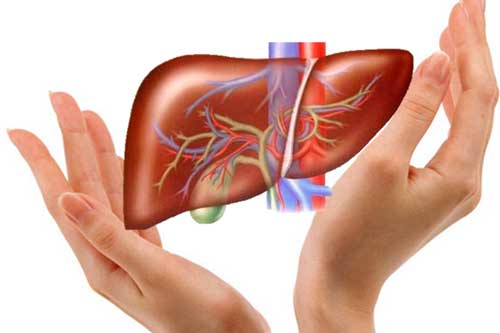 Uống loại nước này mọi độc tố trong gan được thải hết lại ngừa ung thư hiệu quả