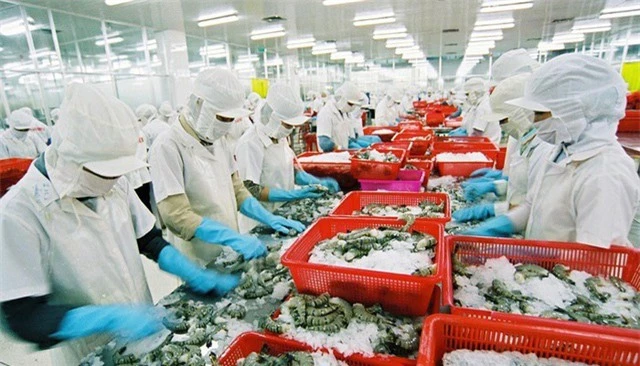 Thủy sản Việt Nam xuất sang 154 thị trường, riêng 6 thị trường lớn chiếm gần 80% kim ngạch - Ảnh 1.