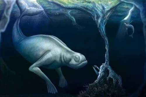 Phát hiện 'quái vật đội lốt người' lượn lờ ở Đại Tây Dương