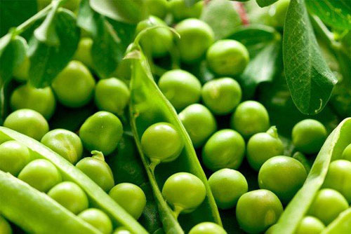 4 loại thực phẩm cực tốt cho sức khỏe nhưng bạn tuyệt đối không được ăn nhiều