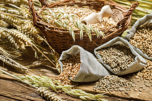 'Thực phẩm vàng' cho người bệnh gan nhiễm mỡ