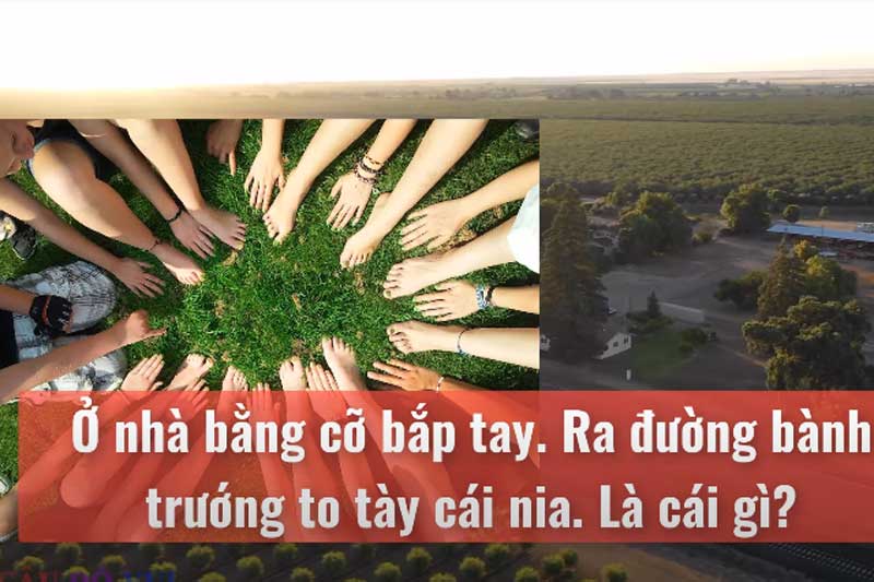 CLIP: Thách thức trí thông minh với những câu đố mẹo cực khó