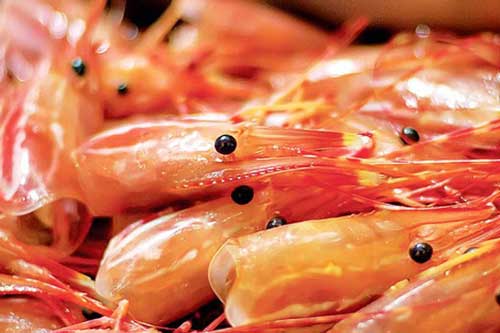 4 sai lầm tai hại khi ăn hải sản cần tránh kẻo gây hại cho sức khỏe