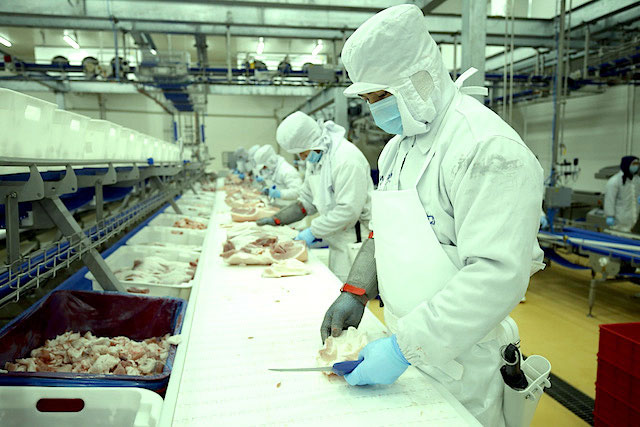 Ngành chế biến thịt nội địa có đủ sức làm lớn?