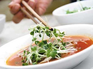 Món ăn cực ngon nhưng rất dễ bị ngộ độc