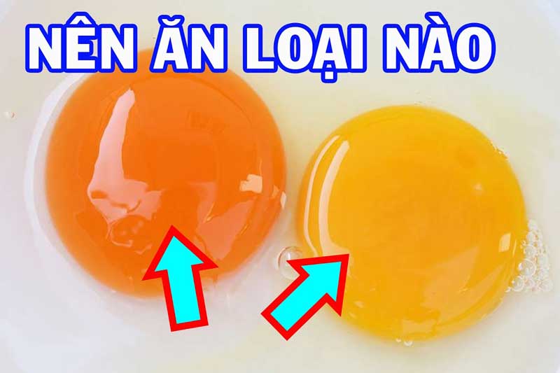 Tranh cãi trứng gà lòng đỏ đậm hay nhạt giàu dinh dưỡng hơn? Câu trả lời khiến nhiều người ‘choáng’