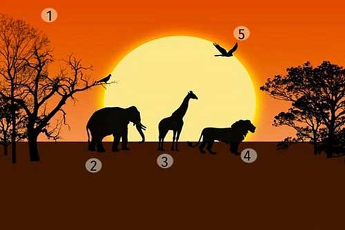 Trắc nghiệm: Bạn đang gặp rắc rối ở khía cạnh nào trong cuộc sống?