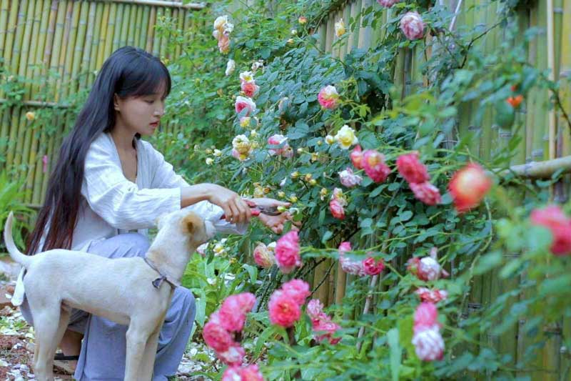 Những sự thật gây 'choáng' về các youtuber làm kênh ẩm thực nổi tiếng nhất thế giới