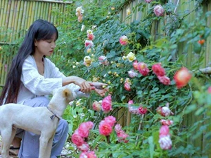 Những sự thật gây 'choáng' về các youtuber làm kênh ẩm thực nổi tiếng nhất thế giới