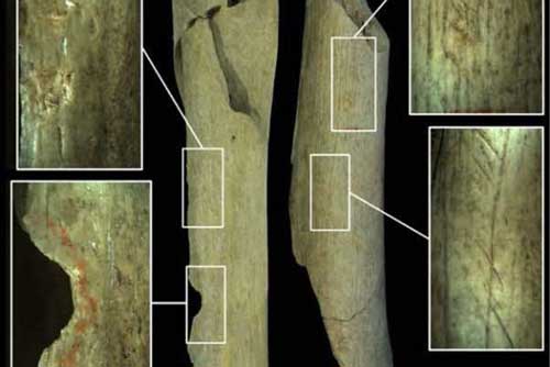 Rùng mình nhóm người cổ đại ăn thịt xác chết, dùng xương làm công cụ