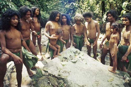 Chuyện về bộ lạc man rợ sống trong hang núi Tasaday và cú lừa ngoạn mục khiến cả thế giới tin sái cổ