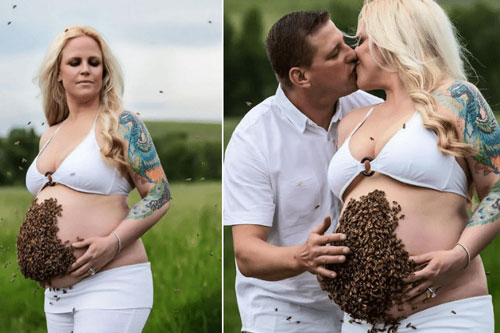 Mẹ bầu gây sốc với việc đặt 10.000 con ong lên bụng để 'tạo nét' khi chụp ảnh