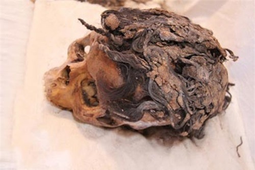Hộp sọ 3300 năm tuổi của một phụ nữ Ai Cập