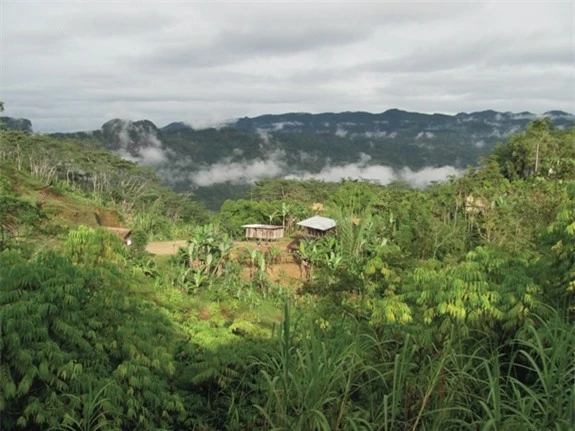 Ngôi làng Koke, Papua New Guinea, nơi tin rằng xác ướp hun khói sẽ giúp họ giao tiếp với thế giới linh hồn. Ảnh Live Science