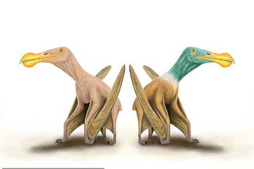 Kinh hoàng "quái vật khỏa thân" biết bay, ăn thịt cả khủng long