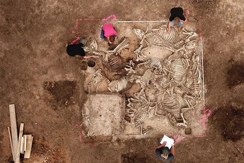 Xây trại gà, lộ ra mộ cổ rùng rợn của 6 người vợ hoàng tử