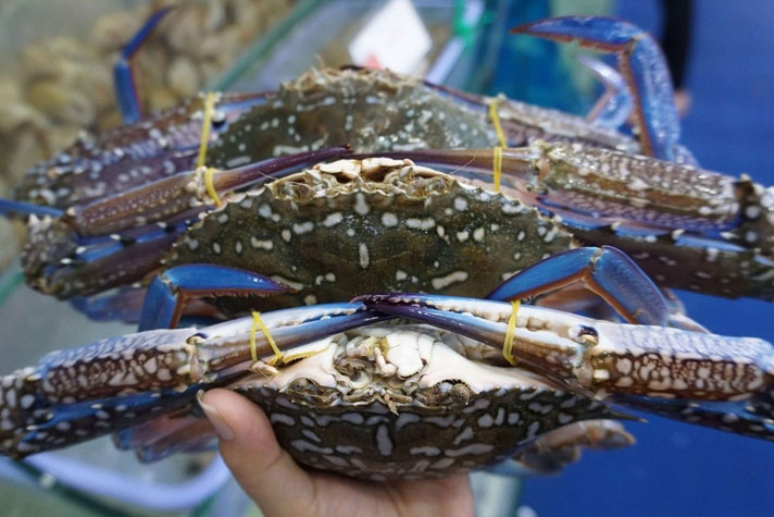 Xuất khẩu cua ghẹ thu về hơn 107 triệu USD