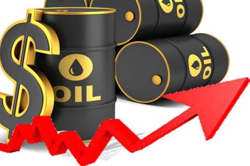 Giá xăng, dầu (9/10): Bão Delta đổ bộ Vịnh Mexico làm cho giá dầu tăng vọt