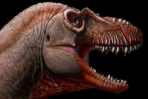 Phát hiện loài khủng long ăn thịt mệnh danh 'khủng long thần chết' sống cách đây 79,5 triệu năm