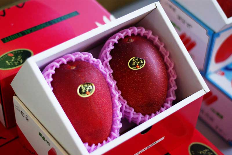 Top 9 loại quả siêu đắt đỏ, nhà giàu chưa chắc đã dám ăn