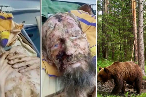 'Xác ướp biết nói' bị gấu nhốt trong hang làm thức ăn dự trữ