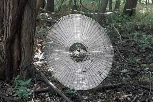 Phát hiện mạng nhện ‘ma quái’ siêu to đủ tóm gọn con người