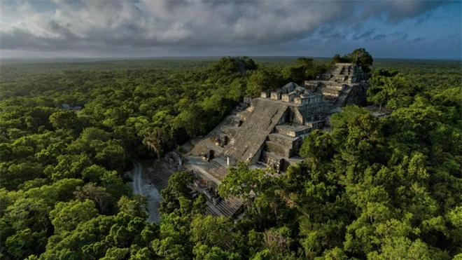 Vào thế kỷ thứ 7, các vị vua rắn cai trị vương quốc tại kinh thành Calakmul (ngày nay là miền nam Mexico). Tại Calakmul, họ đã thiết lập, xây dựng và quản lý một hệ thống liên minh chính trị vô cùng phức tạp. Trong hình là một kim tự tháp cao gần 55 mét.