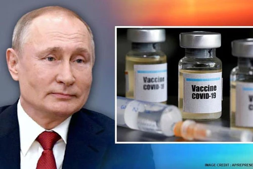 Dự kiến, vaccine EpiVacCorona của Nga sẽ được phê duyệt vào ngày 15/10. (Ảnh: AP)