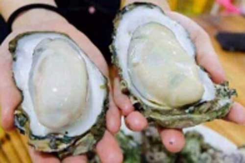 Dân buôn hải sản không bao giờ tiết lộ: Nhìn hình dáng, chọn ngay được con hàu tươi ngon, nhiều thịt