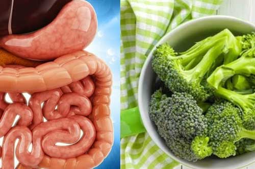 Top 6 loại thực phẩm thanh lọc cơ thể, khử sạch độc tố, nên ăn hàng ngày