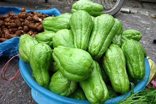 Tác dụng tuyệt vời quả su su với sức khoẻ, rất nhiều người không biết