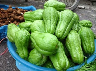 Tác dụng tuyệt vời quả su su với sức khoẻ, rất nhiều người không biết