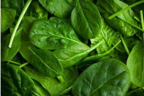 Cải bó xôi rất tốt nhưng nấu theo cách này thì gây hại khó lường